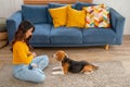 Young Asian woman try to train beagle dog in the living room of her house in front of sofa and they look happy to stay together Royalty Free Stock Photo