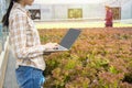 Young asian woman using laptop check the quality control of the agriculture food in greenhouse organic nursery farm,young business Royalty Free Stock Photo