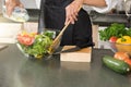 young asian woman work cooking in modern kitchen Royalty Free Stock Photo