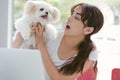 Young Asian woman working on laptop and playing with her dog chihuahua feeling happiness work form home concept.