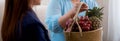 Young asian woman agent insurance visit customer elderly while giving fruit basket in the living room. Royalty Free Stock Photo