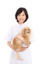 Young Asian women with dachshund Royalty Free Stock Photo