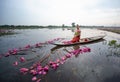 Young Asian women in Traditional dress in the boat and pink lotus flowers in the pond.