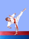 Young athlete with an orange belt beat a circular kick Royalty Free Stock Photo