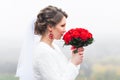 Young attractive bride with the bouquet of red roses over snowy Christmas background Royalty Free Stock Photo