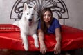Young attractive caucasian woman lies with expressive dog of big swiss shepherd breed on red covered bed. Beautiful female and sno Royalty Free Stock Photo