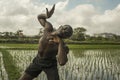 Young attractive contemporary ballet dancer and choreographer , a black African American man dancing and posing on tropical rice Royalty Free Stock Photo