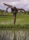 Young attractive contemporary ballet dancer and choreographer , a black afro American man dancing and posing on tropical rice