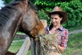 Young attractive cowgirl feeds horse in the farm Royalty Free Stock Photo