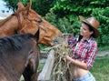 Young attractive cowgirl feeds horses in the farm Royalty Free Stock Photo