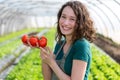 Young attractive farmer harvesting tomatoes