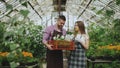 Young attractive florists couple in apron working in greenhouse. Cheerful man walking with box of flowers and talks