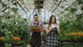 Young attractive florists couple in apron working in greenhouse. Cheerful man walking with box of flowers and talks