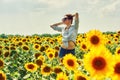 Young attractive girl in the field with sunflowers Royalty Free Stock Photo