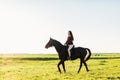 Young attractive girl riding on a bay horse. Royalty Free Stock Photo