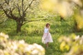 Young attractive girl walks in spring green park enjoying flowering nature Royalty Free Stock Photo