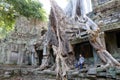 Young attractive guy smiles while sitting near a huge root. Ancient Cambodian ruins