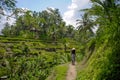 young attractive happy afro american black woman 30s exploring rice fields forest and jungle in Bali wearing asian hat