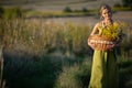 A young attractive herbalist holds a wicker basket of herbs. Goldenrod and common winterflower. Royalty Free Stock Photo