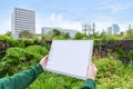 Young attractive landscaper woman working in a public park Royalty Free Stock Photo