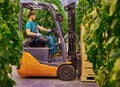 Young attractive man working on electric forklift in greenhouse Royalty Free Stock Photo