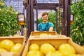 Young attractive man working on electric forklift in greenhouse Royalty Free Stock Photo