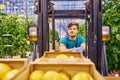 Young attractive man working on electric forklift in greenhouse Royalty Free Stock Photo