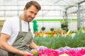 Young attractive man working at the plants nursery