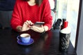 Happy young woman drinking cappuccino, latte, macchiato, tea, using tablet computer and talking on the phone in a coffee shop / ba Royalty Free Stock Photo