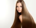 Young attractive model with long, straight,brown hair. Royalty Free Stock Photo