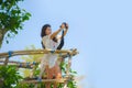 Young attractive photographer woman taking selfie photo portrait with reflex camera of beautiful landscape with trees vegetation a