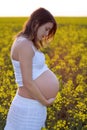 Young attractive pregnant woman in seed oil field Royalty Free Stock Photo