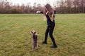 Young attractive teenager girl playing with Yorkshire terrier game of catch the ball on a grass in a park. The model with long Royalty Free Stock Photo