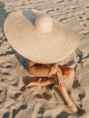 Young attractive woman in bikini with big straw hat posing at sandy beach