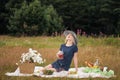 Young attractive woman in a blue dress at an outdoor picnic. A basket with daisies, watermelon, strawberries and a glass Royalty Free Stock Photo