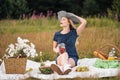 Young attractive woman in a blue dress at an outdoor picnic. A basket with daisies, watermelon, strawberries and a glass Royalty Free Stock Photo