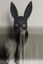 Young attractive woman in bunny mask showing quiet sign with her