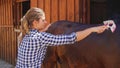 a young attractive woman grooming a horse in front of a stable Royalty Free Stock Photo