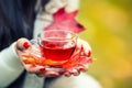 Young attractive woman holding in hand hot red tea. Relaxing in autumn nature with hot tea