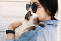 Young attractive woman hugging pussy cat in hands. Cute and glamorous girl in trendy sunglasses posing with her Siamese cat Royalty Free Stock Photo