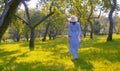 Young woman walking barefoot on the grass Royalty Free Stock Photo