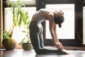 Young attractive woman in Ustrasana pose, home interior backgrou