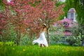 A young attractive woman walks through the spring blooming green park, enjoying nature. A healthy, smiling girl whirls in the Royalty Free Stock Photo