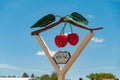 Entrance sign of Young city - the cherry capital of Australia