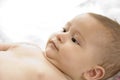 Young baby posing Royalty Free Stock Photo