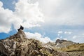 Young backpacker hiker man enjoying adrenaline mountain hike.Active hiking trip vacation.Climbing to the top of mountain cliff.