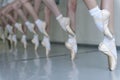 Young ballerinas in class