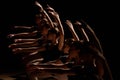 Young ballerinas practicing a choreographed dance all raining their arms in graceful unison during practice at a ballet Royalty Free Stock Photo