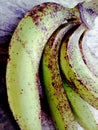 This is a young banana fruit