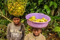 Young banana sellers